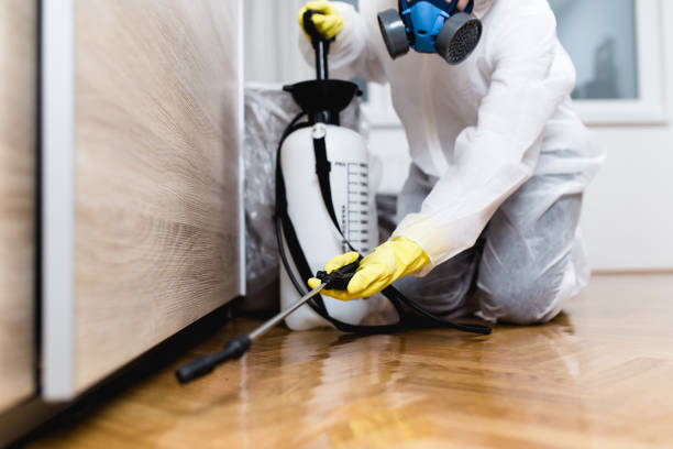 Best Mosquito Control Services  in Glendale, CO