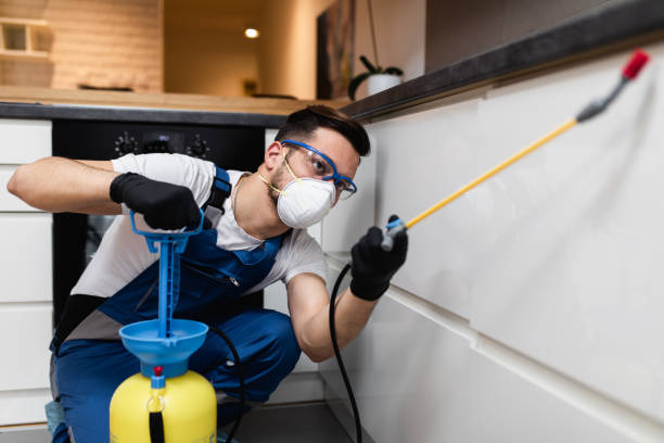 Best Ant Control Services  in Glendale, CO