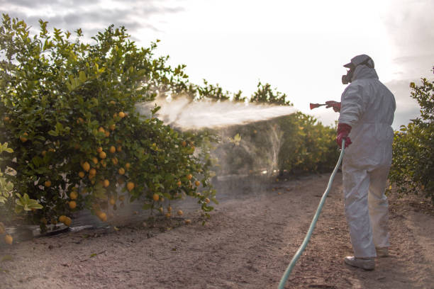 Best Pest Control Near Me  in Glendale, CO