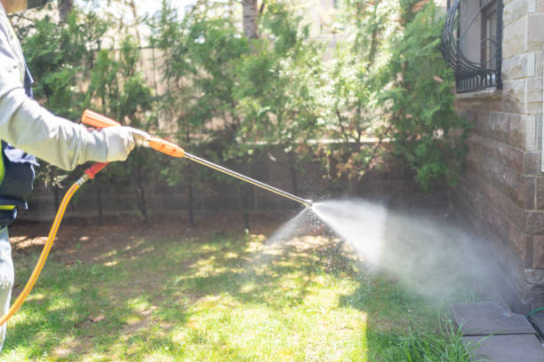 Best Affordable Exterminators  in Glendale, CO