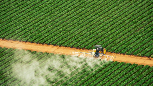 Pest Control Cost in Glendale, CO