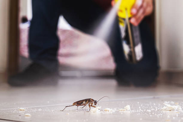 Best Emergency Pest Control  in Glendale, CO