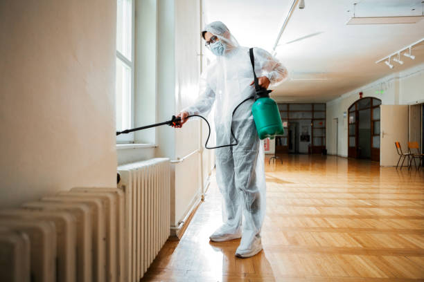 Flea Control Services in Glendale, CO